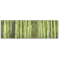 Трговска марка ликовна уметност „бамбус скапе“ платно уметност од Кора Ниле