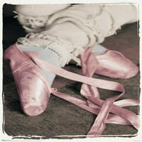 Нозете на девојката Во Розови Балетски Влечки Ѕид Постер, 22.375 34