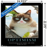 Пргава Мачка-Посветлиот Страничен Ѕиден Постер со Иглички За Туркање, 14.725 22.375