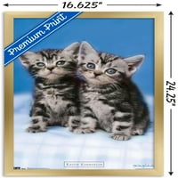 Кит Кимберлин - Мачиња - Близнаци Ѕид Постер, 14.725 22.375