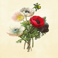 Слики графички отпечатоци Ботаничка природа и цветна уметност отпечатоци, сет од 2