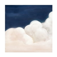Студио W 'Cloudy Night II' Canvas Art