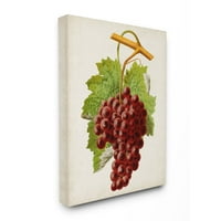 Stuple Industries гроздобер храна овошје сликарство платно wallидна уметност од визија студио