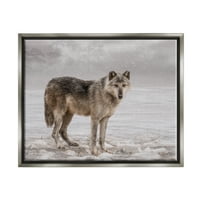 Sumbell Industries Lone Coyote Wolf Snowy Field Pandscape сложени детали Графички уметнички сјајни сиви лебдечки врамени платно