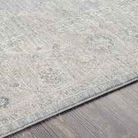 Уметнички ткајачи Авант Гард Ориентална област килим, светло сива, 2 '3'