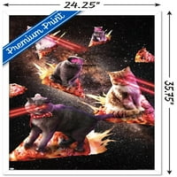Џејмс Букер - Галакси Ласерски Мачки На Пица Ѕид Постер, 22.375 34 Врамени